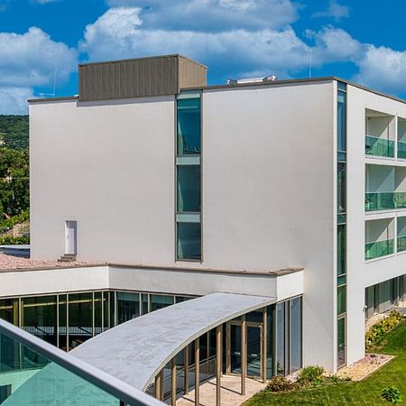 Hotel Vinifera Wine & Spa 5 Stars Superior Balatonfüred Dış mekan fotoğraf